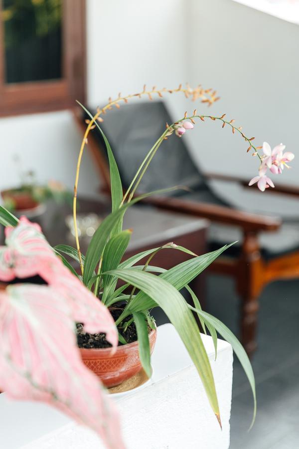 Bedspace Unawatuna Ngoại thất bức ảnh